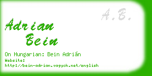 adrian bein business card